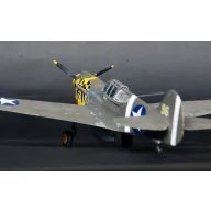 Mistercraft P-40E Aleutian Tiger START SET 1:72 (SD-202)