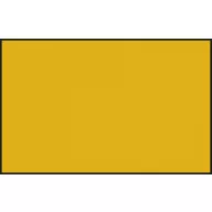 Acrysion Paint N-009 Gold (10ml)