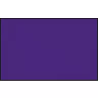 Acrysion Paint N-039 Purple (10ml)