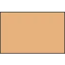 Acrysion Paint N-044 Flesh (10ml)
