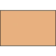 Acrysion Paint N-044 Flesh (10ml)