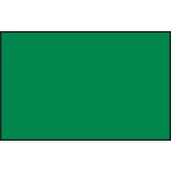 Acrysion Paint N-089 Metallic Green (10ml)