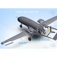   ModelSvit An-196 Liutyi deep-strike UAV (1/48) 1:48 (MSVIT4825)
