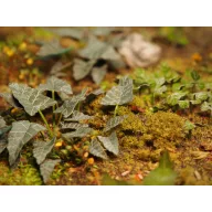 Matho Models Plants & Weeds E 1:35 (35039)