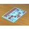 Matho Models Window Stickers SALE (80011)