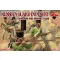 Red Box Russian gurad infantry, 1804-1807 1:72 (RB72129)