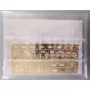 Rye Field Model TIGER EARLY PRODUCTION W/FULL INTERIOR 1:35 (5025)