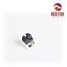 Red Fox Studio P-40E Warhawk (for Trumpeter kit) 1:32 (RFSQS-32025)