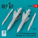 ResKit Models AS.34 Kormoran missiles with adapters (2 pcs) (for F-104G, Tornado IDS) (3D Printed) 1:48 (RS48-0607)