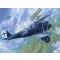 Roden Pfalz D.IIIA 1:72 (015)