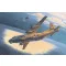 Roden An-12 BK-PPS 1:72 (046)