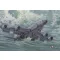 Roden Boeing RC-135V/W Rivet Joint 1:144 (349)