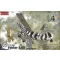 Roden Fokker D.VII (early) 1:48 (415)