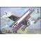 Roden Fokker D.VII ( OAW) ''Walter Blume'' 1:48 (418)