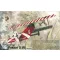 Roden Fokker D.VII (OAW built, early) 1:48 (420)
