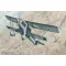 Roden Heinkel He-51 B-1 1:48 (452)