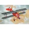 Roden Siemens Shuckert D.II 1:32 (610)