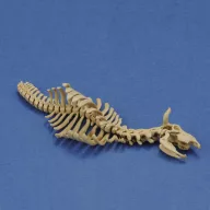 Royal Model Cow skeleton n.1 3D printed 1:35 (RM1046)