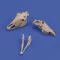Royal Model Horse skulls 1:35 (RM1050)