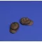 Royal Model U.S Tanker caps - WWII 1:16 (RM1064)
