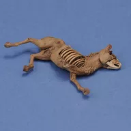 Royal Model Donkey carcass 1:35 (RM1068)