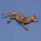 Royal Model Donkey carcass 1:35 (RM1068)