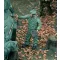 Royal Model German tanker getting mud-camouflage-WWII 1:35 (RM525)