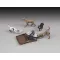 Royal Model Dogs and cats 1:35 (RM662)