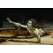 Royal Model Zombie-/half body 'Zombies serie' 1:35 (RM765)