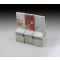 Royal Model Concrete separation wall elements 1:35 (RM781)