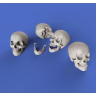 Royal Model Skulls 1:35 (RM853)