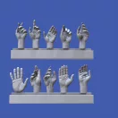 Royal Model Assorted hands set No. 5 1:16 (RM967)