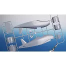 Special Hobby Fiat G.50bis/G.50bis/N ‘Fighter-Bomber & Navy Fighter’ 1:32 (100-SH32089)