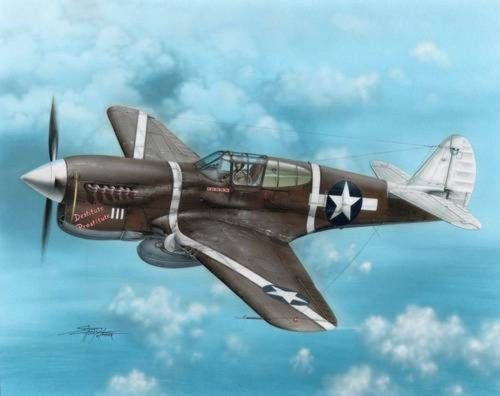 Special Hobby P-40F Warhawk Guadalcanal Hawks 1:72 (100-SH72149)