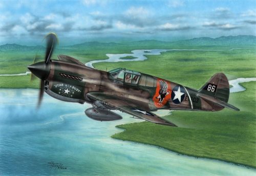 Special Hobby P-40E Warhawk Claws and Teeth 1:72 (100-SH72338)