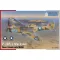 Special Hobby P-40F/L Warhawk 'Desert Hawks with Merlin' 1:72 (100-SH72493)