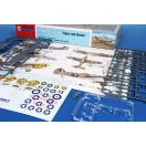 Special Hobby P-40E Warhawk 'Tigers and Sharks' 1:72 (100-SH72529)
