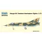 Special Hobby Mirage IIIC 'Southern Hemisphere Fighter' 1:72 (100-SH72534)