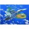 Trumpeter Russian Su-30MKK Flanker G Fighter 1:72 (01659)