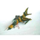 Trumpeter MiG-21 MF 1:32 (02218)