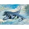 Trumpeter AV-8B Harrier II Plus 1:32 (02286)