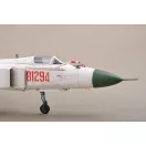 Trumpeter Chinese J-8IID fighter 1:48 (02846)