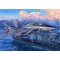Trumpeter F-14D Super Tomcat (03203)