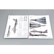 Trumpeter F-14D Super Tomcat (03203)
