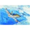 Trumpeter L-39ZA Albatro 1:48 (05805)
