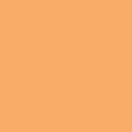 Vallejo Premium Color Orange Pink 60 ml (62002)