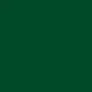 Vallejo Premium Color Basic Green 60 ml (62013)