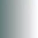 Vallejo Xpress Color Templar White 18 ml (72401)
