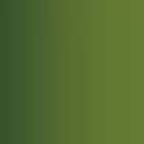 Vallejo Xpress Color Orc Skin 18 ml (72415)
