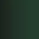 Vallejo Xpress Color Lizard Green 18 ml (72418)